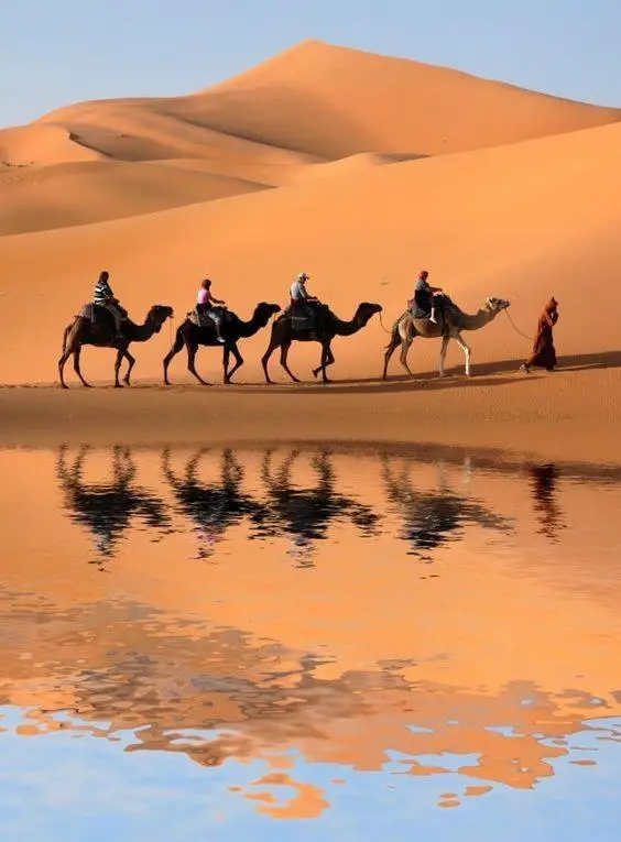 Fes to Marrakech 3-Day Desert Tour Fes to Marrakech 3-Day Desert Tour
