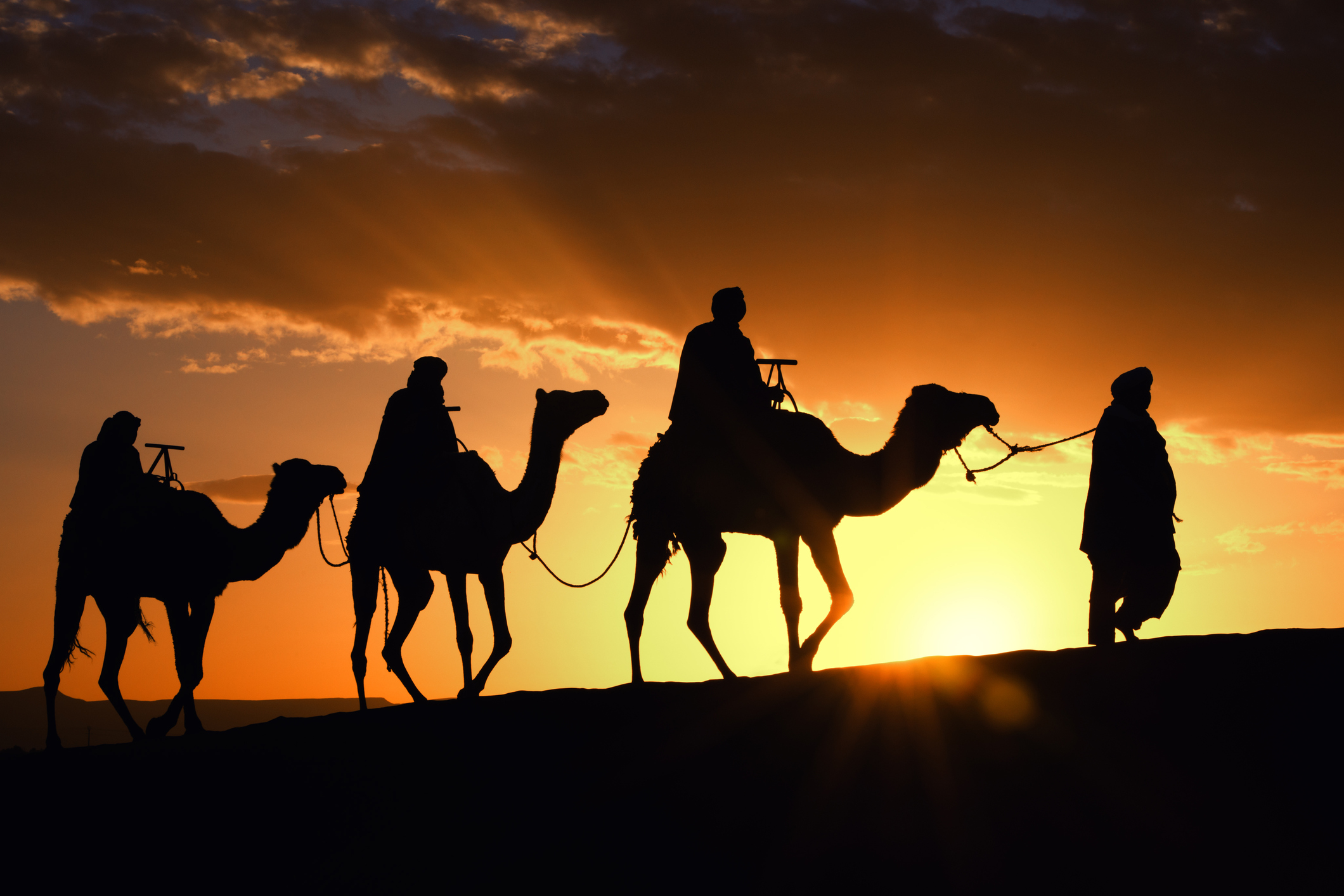 Camel Trek to Oasis Camel Trek to Oasis