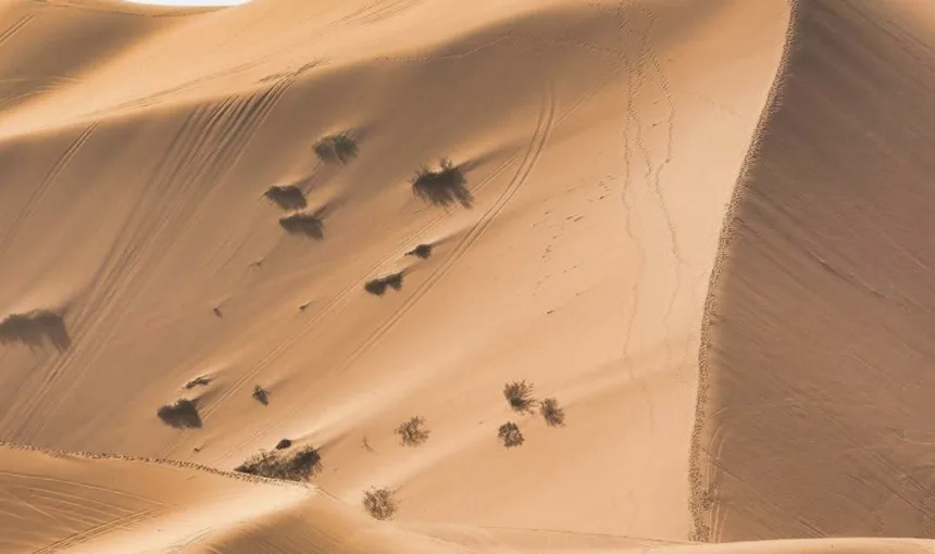 Best Time to Visit the Sahara Desert in Morocco | Weather