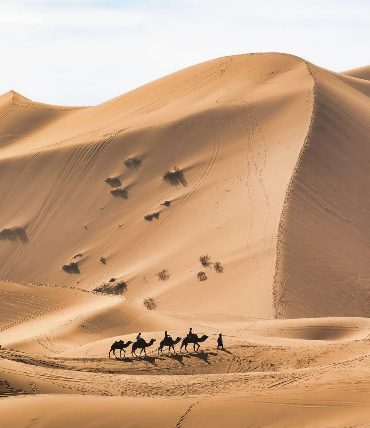 Best time to visit sahara desert Morocco