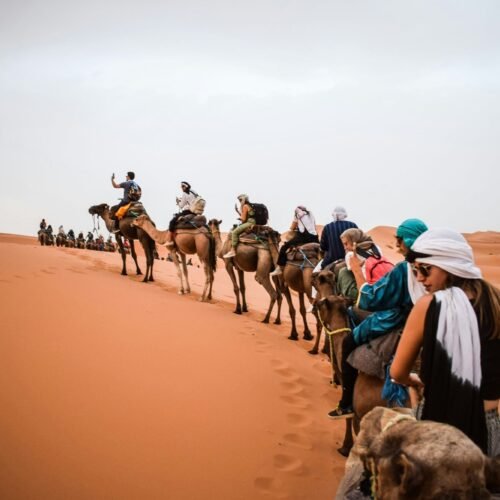 Camel Trekking in Merzouga Desert
