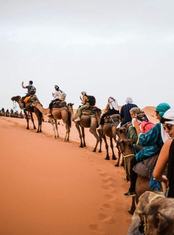 Camel Trekking in Merzouga Desert