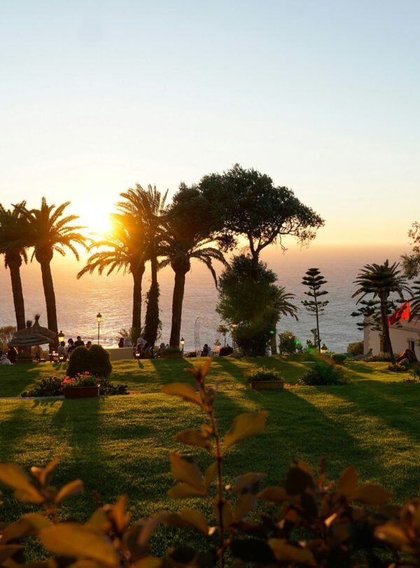Tangier Morocco Desert desert tours